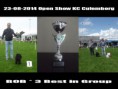 /album/fotogallerij/collage-2014-08-23-2-jpg/